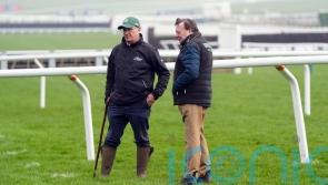 Cheltenham confident Trials day issues will not resurface