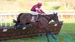 &lsquo;On a good day she is extremely good&rsquo; &ndash; Brighterdaysahead on course for Champion Hurdle