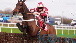 Greatrex looking at Grade One targets for Mighty Bandit