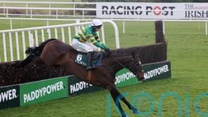 All systems go for Majborough in Champion Chase