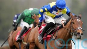 Bibe Mus books Fred Winter ticket with Sandown strike