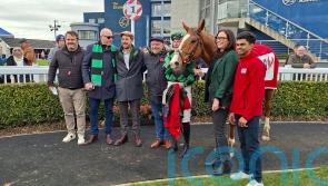 The Lovely Man swoops late for Leinster National honours