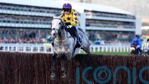 Il Etait Temps dazzles in Queen Mother Champion Chase