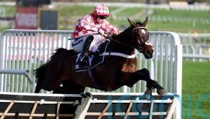 Jingko Blue puts James Bowen and Nicky Henderson in front again