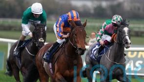 Causeway &lsquo;could be a Paddington&rsquo; at Naas