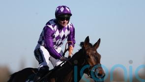 Lady Hope springs 33-1 shock in Goffs Hundred Grand Bumper