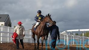 Eternal Force out to provide sixth Lincoln for Haggas