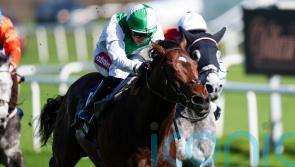 Aramram takes step out of handicaps to land Cammdige