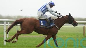 Gaucher could provide rare Newcastle winner for Willie Mullins