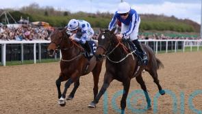 Timeforshowcasing advertises her credentials at Newcastle