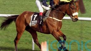 Thirty years since Rough Quest and &lsquo;that&rsquo; National interview