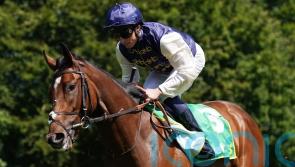 Sprint plot afoot for Royal Fixation