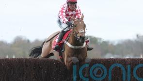 Henderson taking nothing for granted with Jango Baie