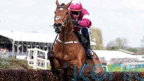 Mullins: No blame attached to Townend in fatal injury to Gold Dancer