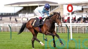 Adaay to remember for Palmer as Scarlett sparks Ascot dreams