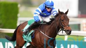 Aintree winner Laafi disqualified for breach of whip rules