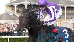 O&rsquo;Brien expecting Hawk Mountain to benefit from Craven run