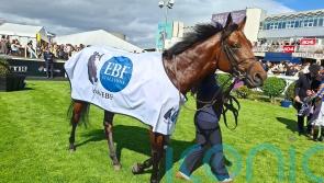 The Lion In Winter makes winning start at Leopardstown