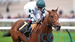 Double Rush creates big impression on first run for Balding