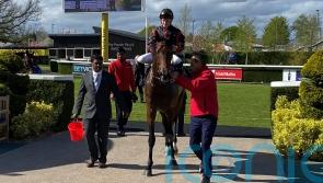 Derby trial next for Maltese Cross after game success