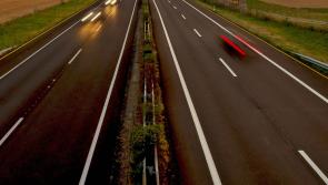 Lack of agreement with farmers could delay €450m Limerick to Foynes road - IFA