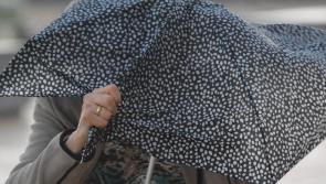 Met Éireann issues weather warning for Limerick as Storm Agnes approaches