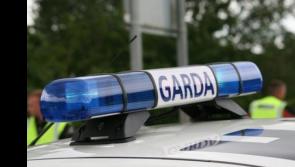 Burglary of business in County Limerick village under investigation