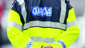 Gardaí investigating as shots fired at home with children inside