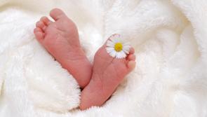 The top baby names from last Christmas have been revealed and seems to have some festive influence 