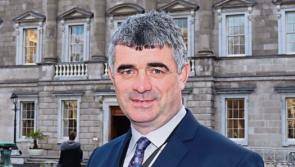 Limerick TD ‘received support from nationals and non-nationals’ after call to protect Ireland's culture