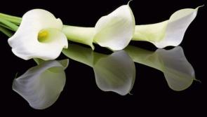 RIP: Limerick deaths and funeral details, Thursday, May 22