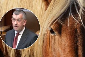 Outrage after abandoned horse 'left to die' in Limerick estate, Dáil hears