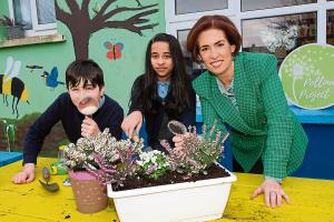 Applications open for Limerick schools to enter project to raise awareness of pollinators