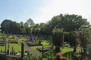 Limerick residents object to construction of new apartments beside 'sacred' graveyard