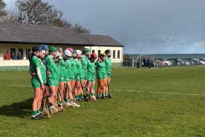 Success for Limerick U23 camogie side 'would be huge for the county'