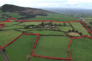 Residential farm extending to 46 acres in County Limerick sells at auction