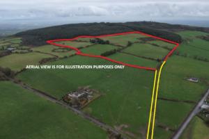 Disappointed underbidders at auction of 31 acre grassland farm in Limerick