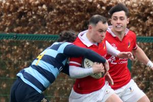 Limerick sides prepare for play-off action as All-Ireland League season reaches its business end