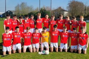 Limerick Féile Peil representatives confirmed after local finals