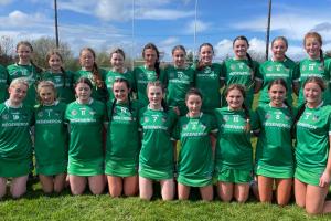 Big win puts Limerick into All-Ireland U17 Camogie Development Series semi-final