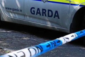 Petrol sourced despite shortages to make firebomb for Limerick attack