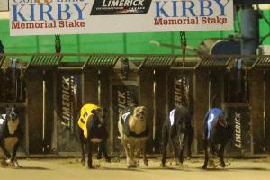 Live TV coverage confirmed for the final of the Con & Annie Kirby Memorial in Limerick