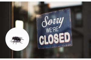 'Covered with flies' - Limerick takeaway ordered to  close amid health concerns