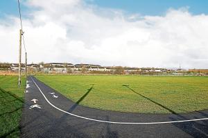 Bid to use emergency legislation to stop mayor's plans to build houses in Limerick park