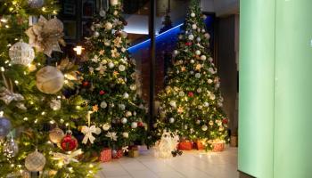 Celebrate the magic of Christmas at the Limerick Strand Hotel