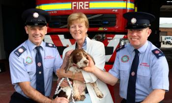 K-999 call: Limerick firefighters thanked for rescuing precious Ruby from drowning