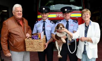 'They couldn't have done more': Positive outcome as Limerick firemen rescue dog from river