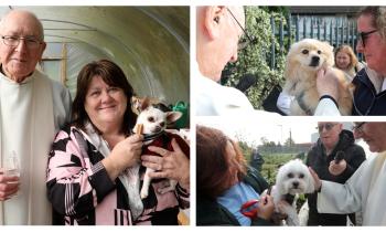 PICTURES: Limerick pets receive their annual blessing