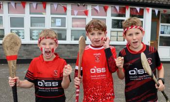 PICTURES: Doon dream of going back-to-back in Limerick Senior Hurling Championship