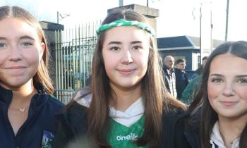 PICTURES: Limerick hurling fans cheer side to Division 1A National League victory over Kilkenny